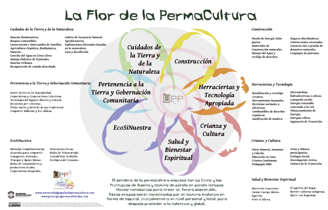 la-flor-de-la-permacultura.png