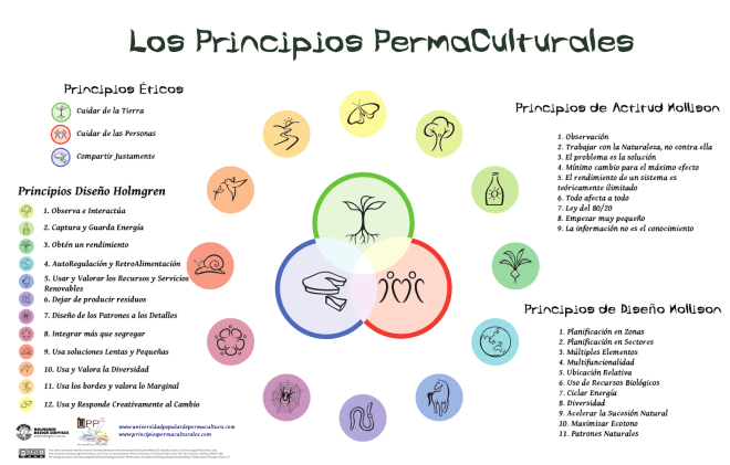los principios permaculturales.png