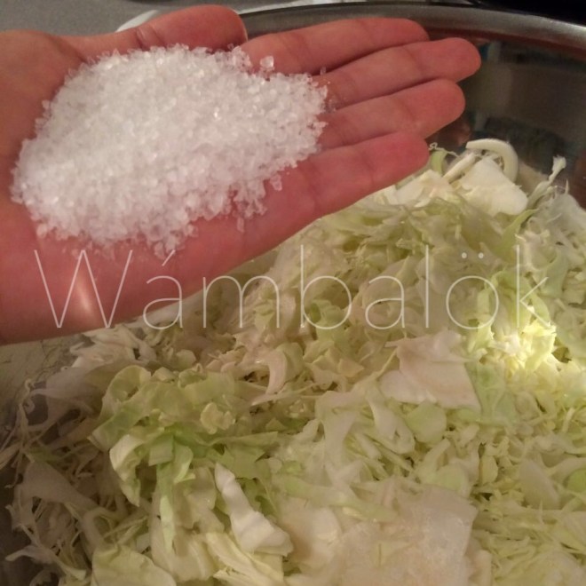 2016-04-032018-50-58_zpss8wotgu8