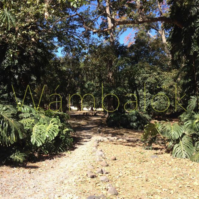 whatsapp-image-2017-01-24-at-12-08-12-pm