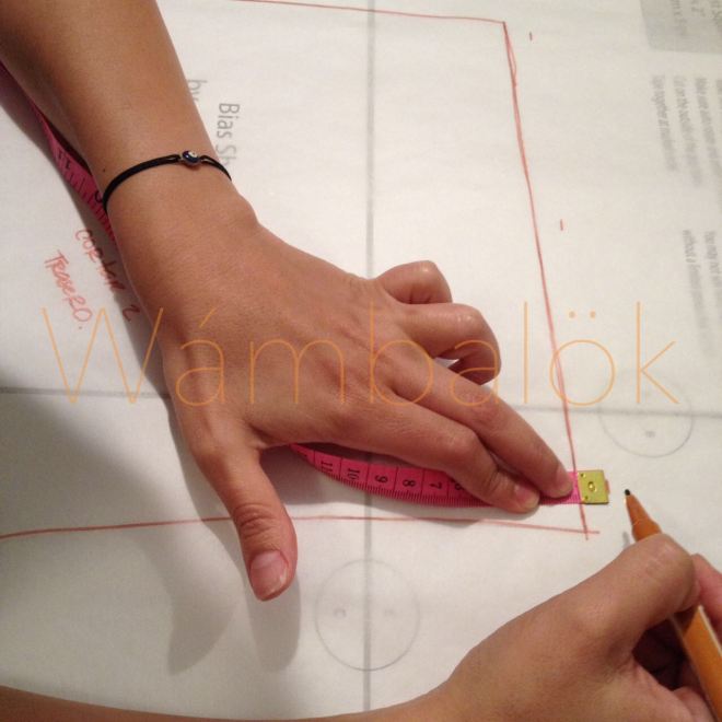 whatsapp-image-2017-01-24-at-3-41-59-pm