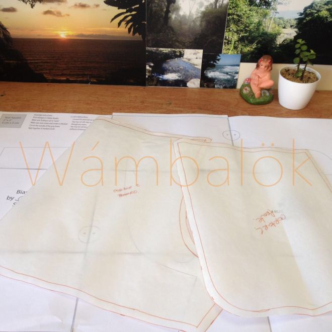 whatsapp-image-2017-01-24-at-3-42-00-pm