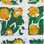 Barcelona_V02_vicensgraff